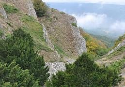 El 23% de la provincia de Burgos son montes de utilidad pública: quién los gestiona y para qué se aprovechan