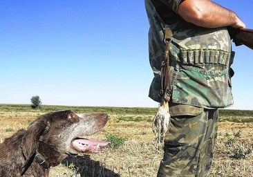 El coto de caza que sale a subasta en un pueblo cerca de Burgos desde 11.480 euros al año