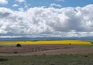 Las 43 fincas rústicas que se alquilan en un pueblo de Burgos desde 20 euros