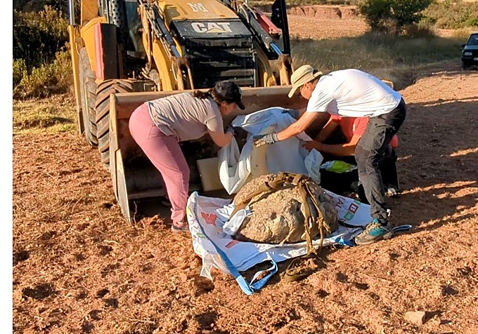 La Icnita en pala excavadora.