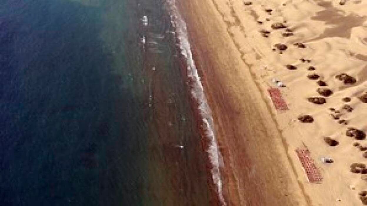 Playa de Maspalomas