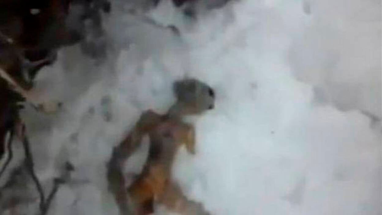 Un alienígena revoluciona en pocas horas las redes sociales