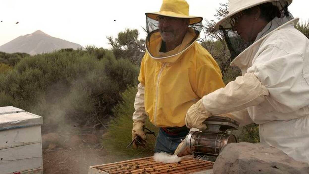 Apicultura a 2.200 metros de altitud