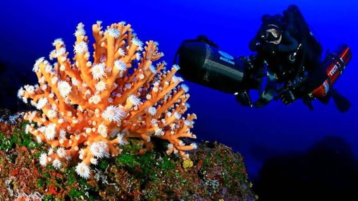 Viaje al abismo de El Hierro