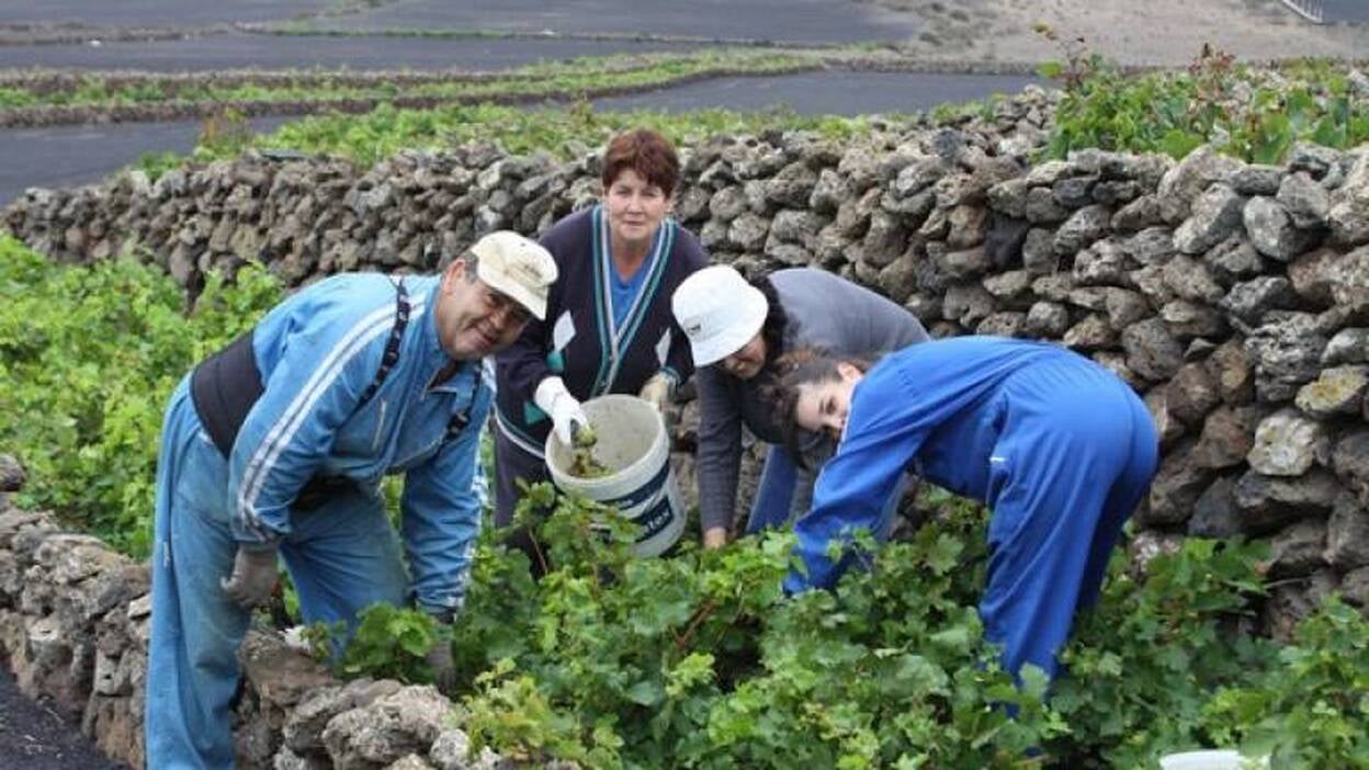 Una vendimia en familia