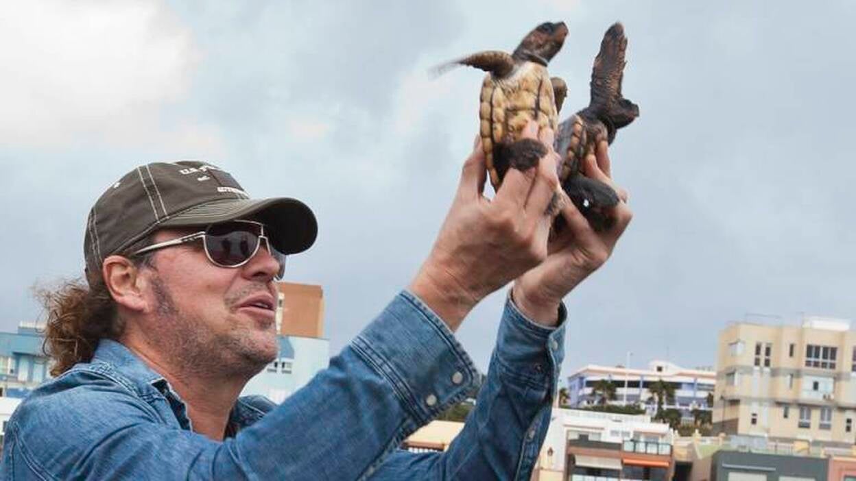 Las tortugas de Maná