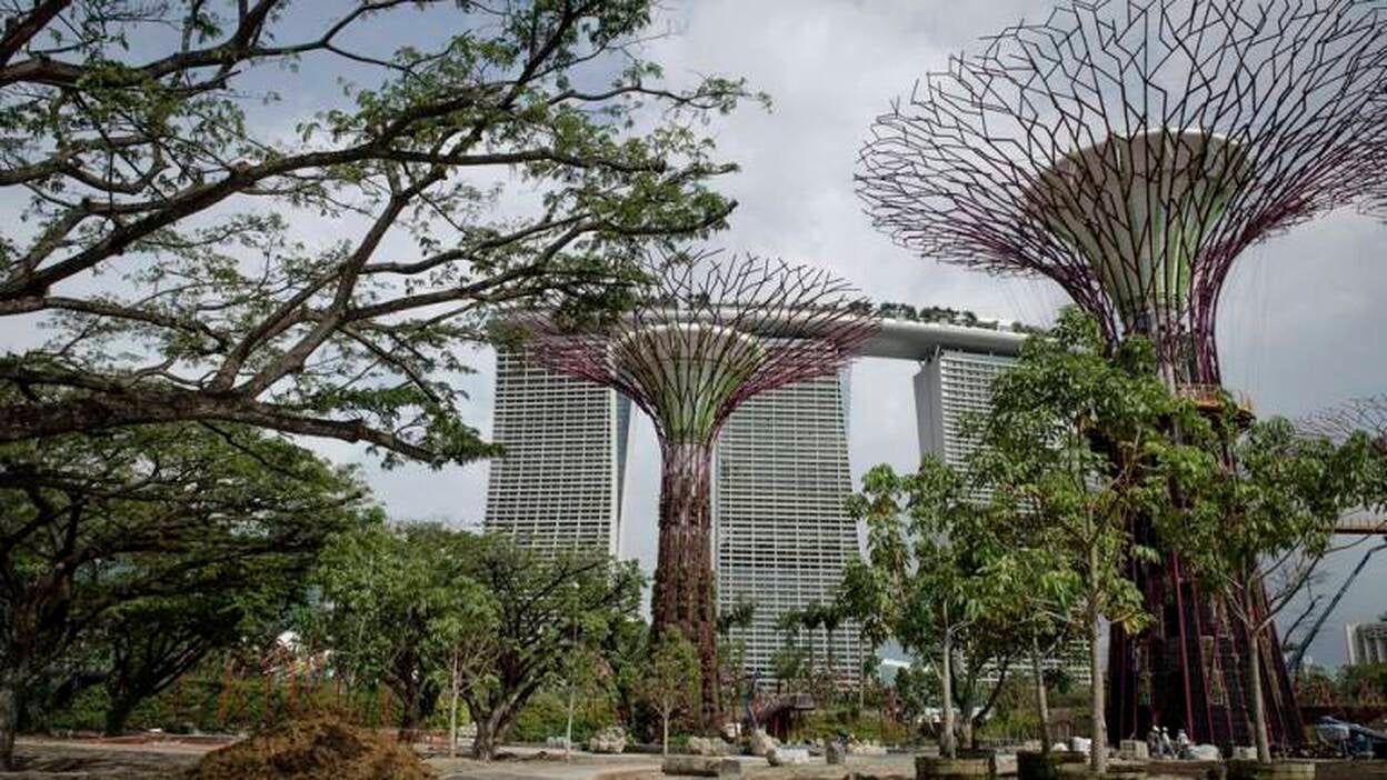 El jardín de la Bahía