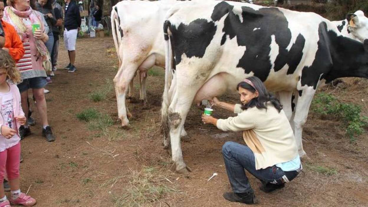 El Día de Canarias llegó antes a Valleseco