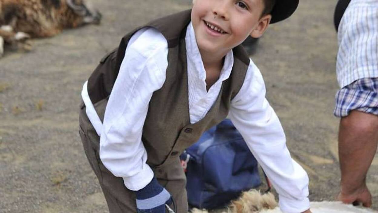 Fiesta de la lana en Caideros de Gáldar