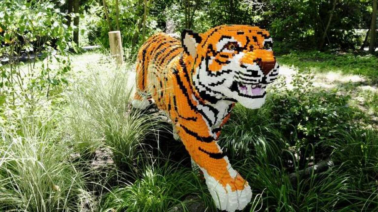 Safari de lego en El Bronx
