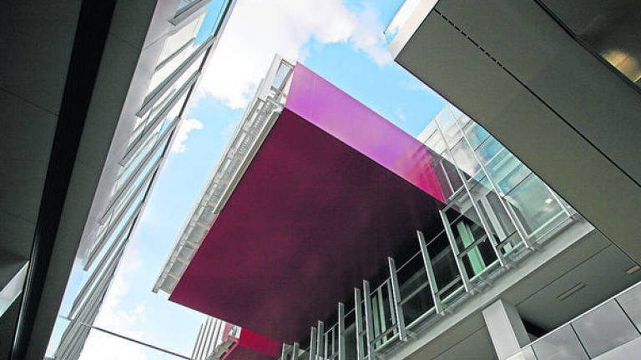 Creciendo juntos en torno a la información