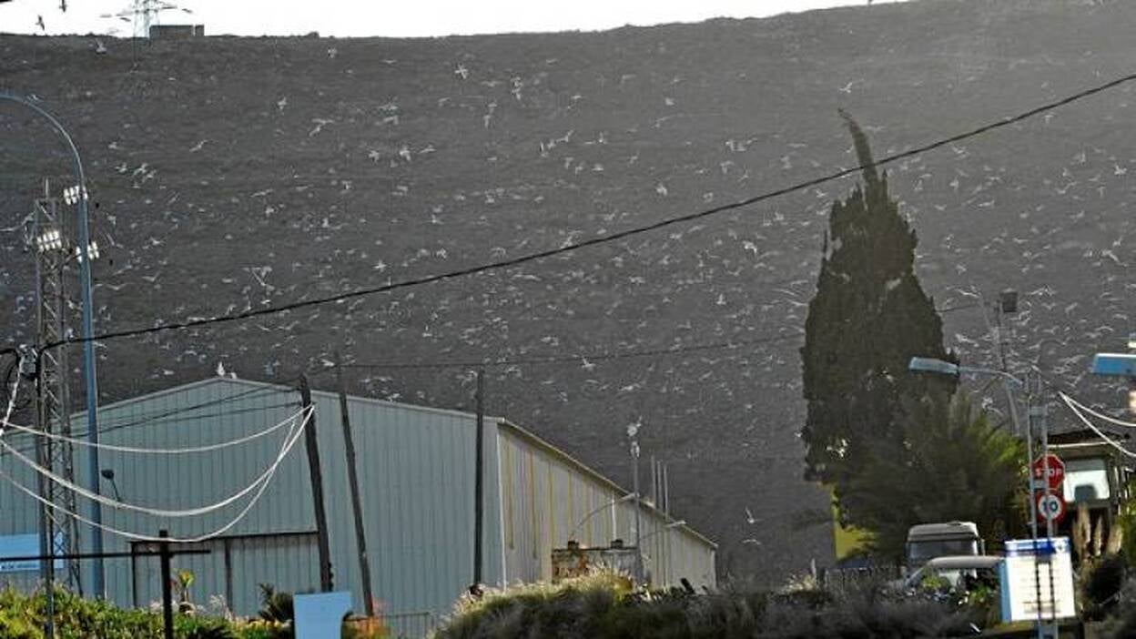 Bravo dice que la gestión de la basura no puede ser gratis