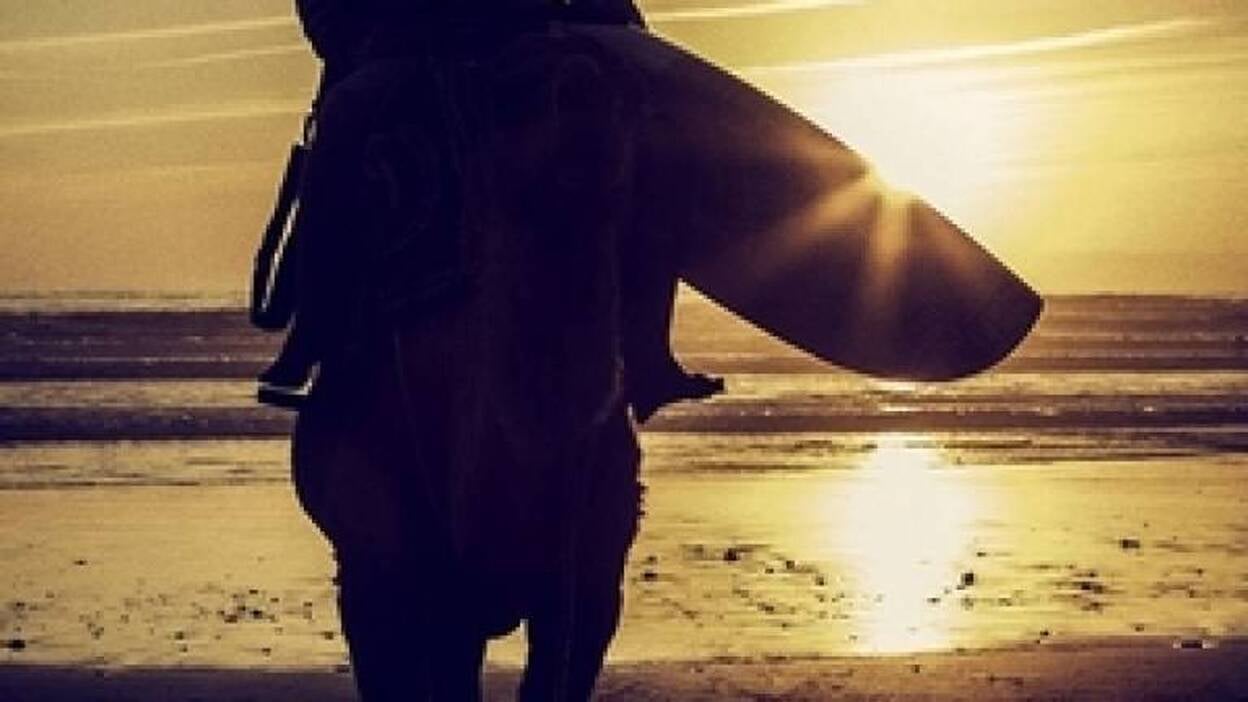 Comienza el Festival de Cine de Surf