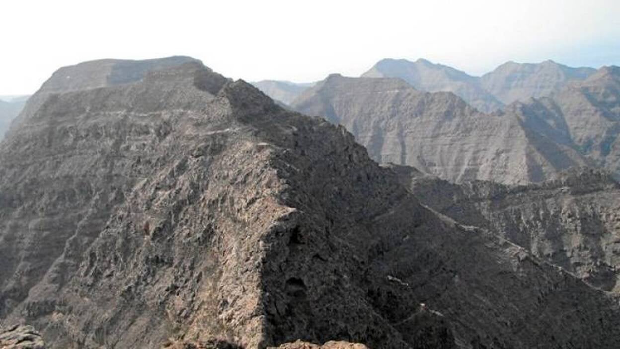 Cuenta atrás para reforestar el bosque de Doramas y Güi-Güi