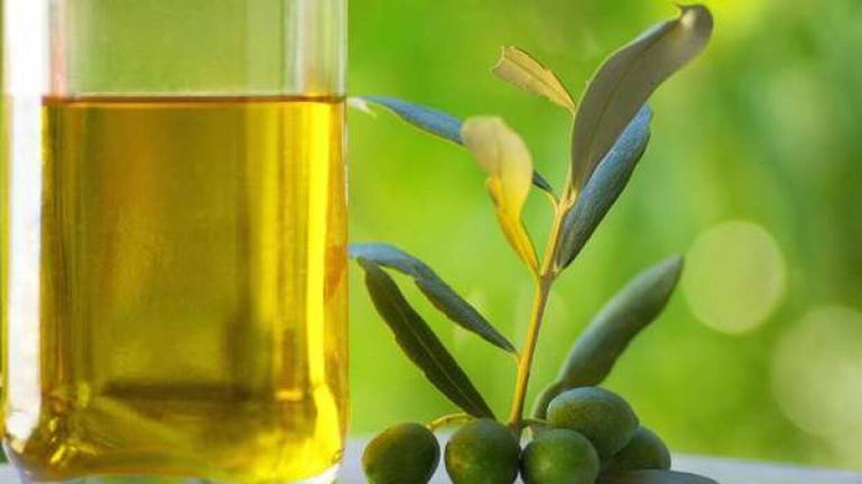 El consumo de aceite de oliva extra ralentiza el crecimiento de los tumores