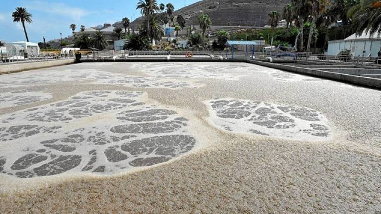 Los vertidos al mar son «responsabilidad municipal»