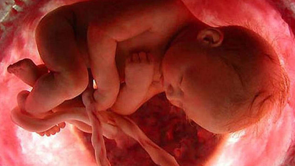 Nace en Suecia el primer bebé tras un trasplante de útero