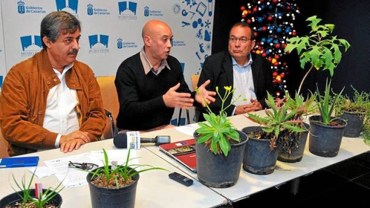 La flora autóctona se muestra