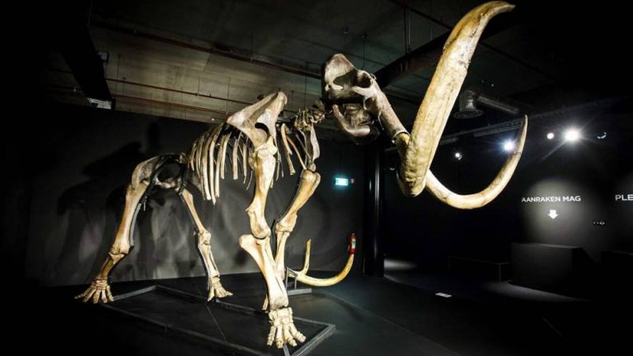 Los Gigantes de la Era de Hielo