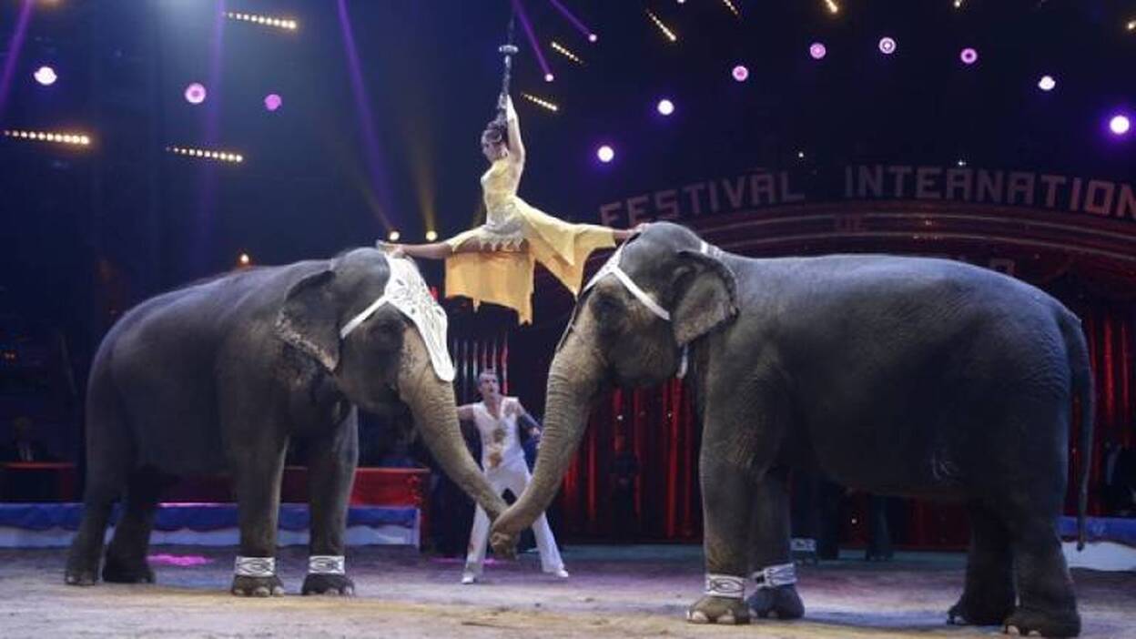 Festival Internacional de Circo de Montecarlo