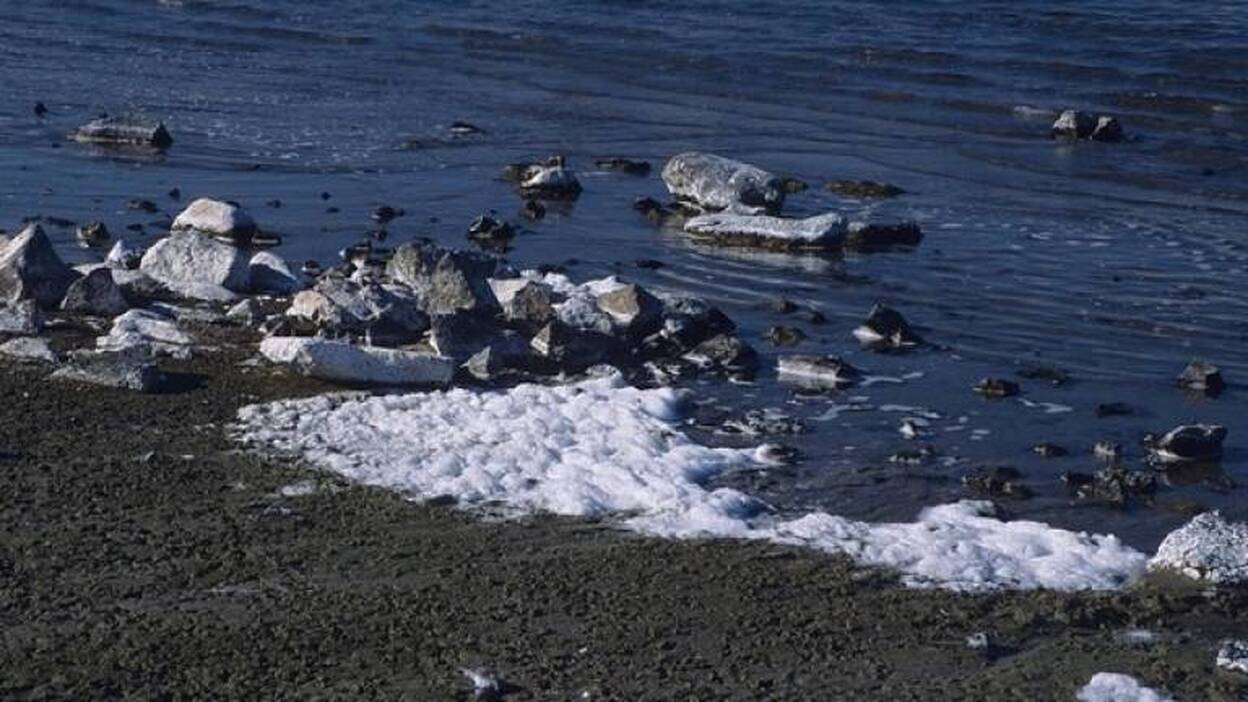 Descubren una bacteria que produce hidrógeno en condiciones extremas