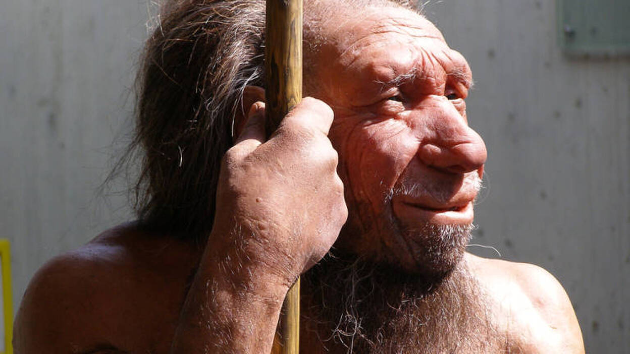Las comunidades neandertales dividían algunas de sus tareas por sexos