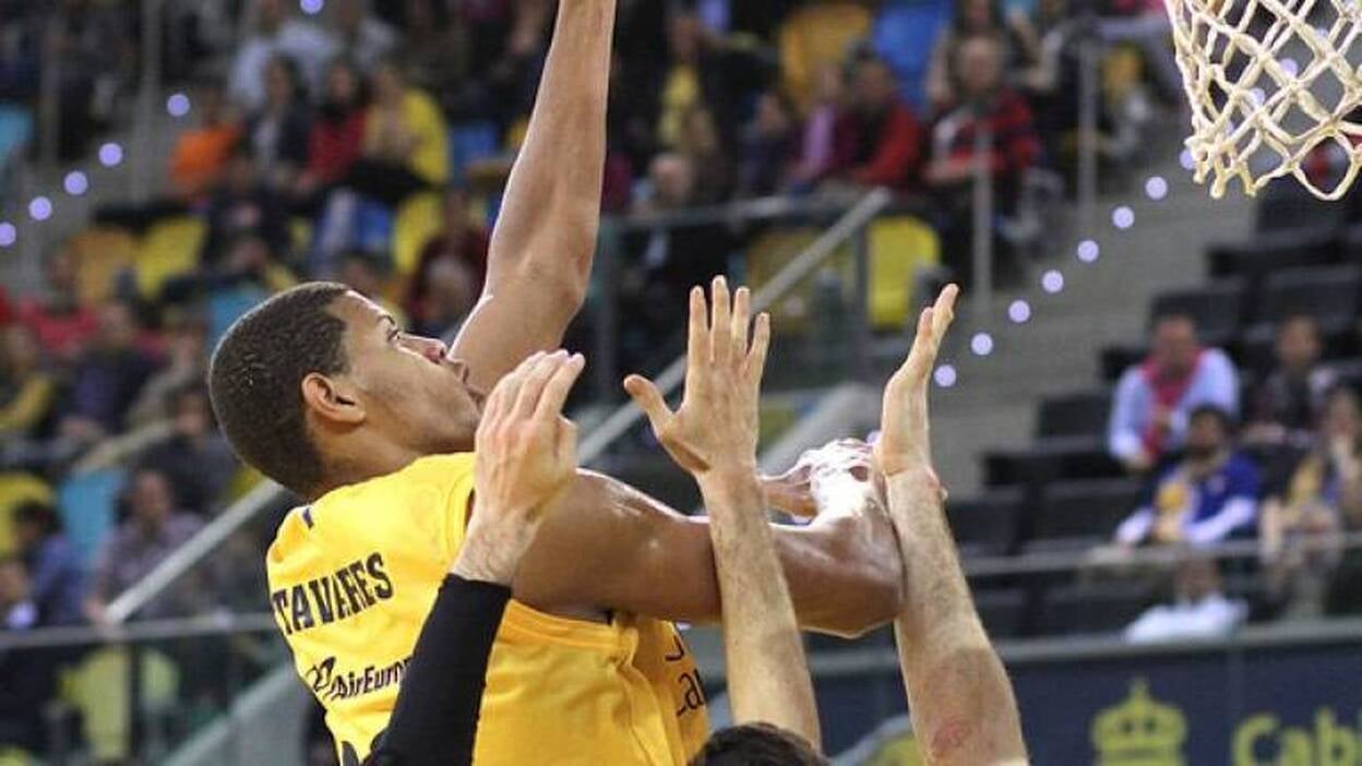 Tavares supera a Bellas y es líder en las votaciones