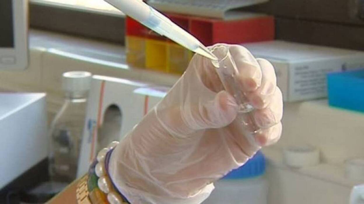 La burundanga o droga del violador, un mito... muy real