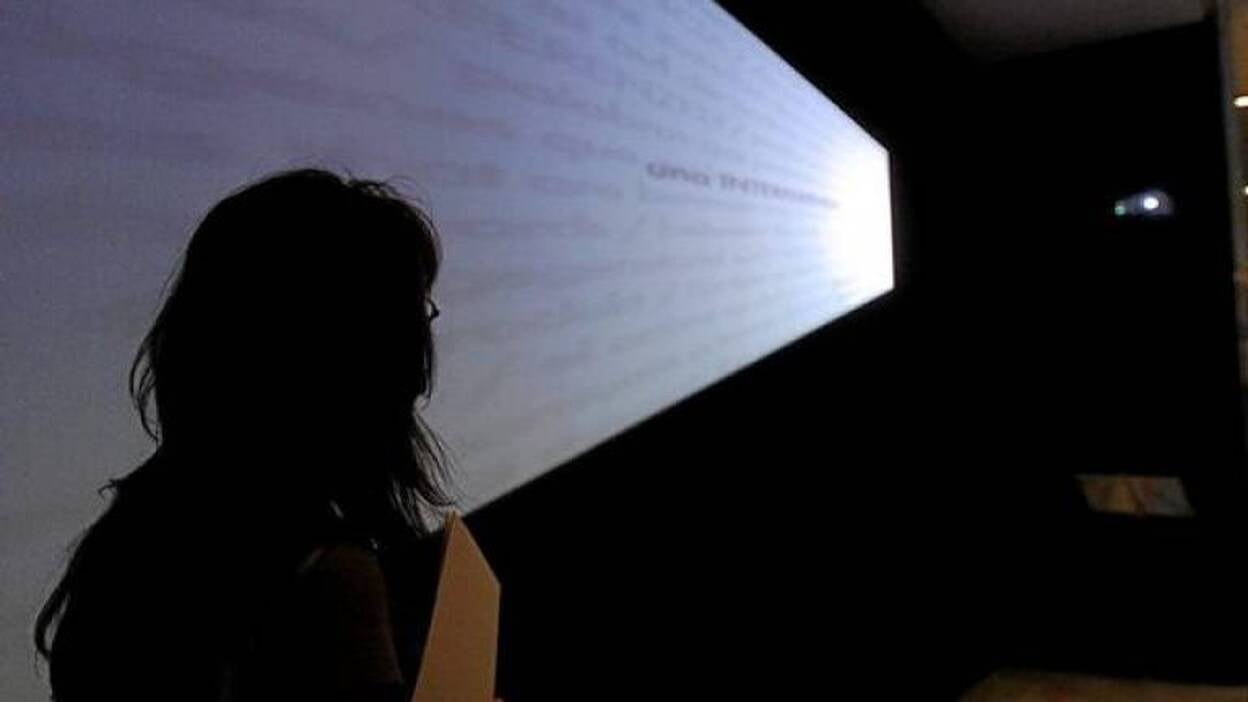 El CAAM y el TEA, entre los museos más opacos de España