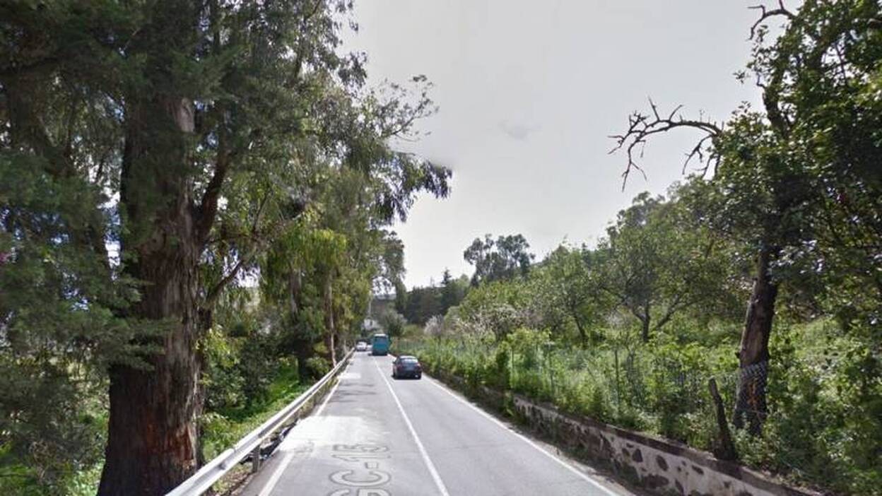 ADAPA, Asociación para la Defensa del Árbol y del Paisaje de Gran Canaria