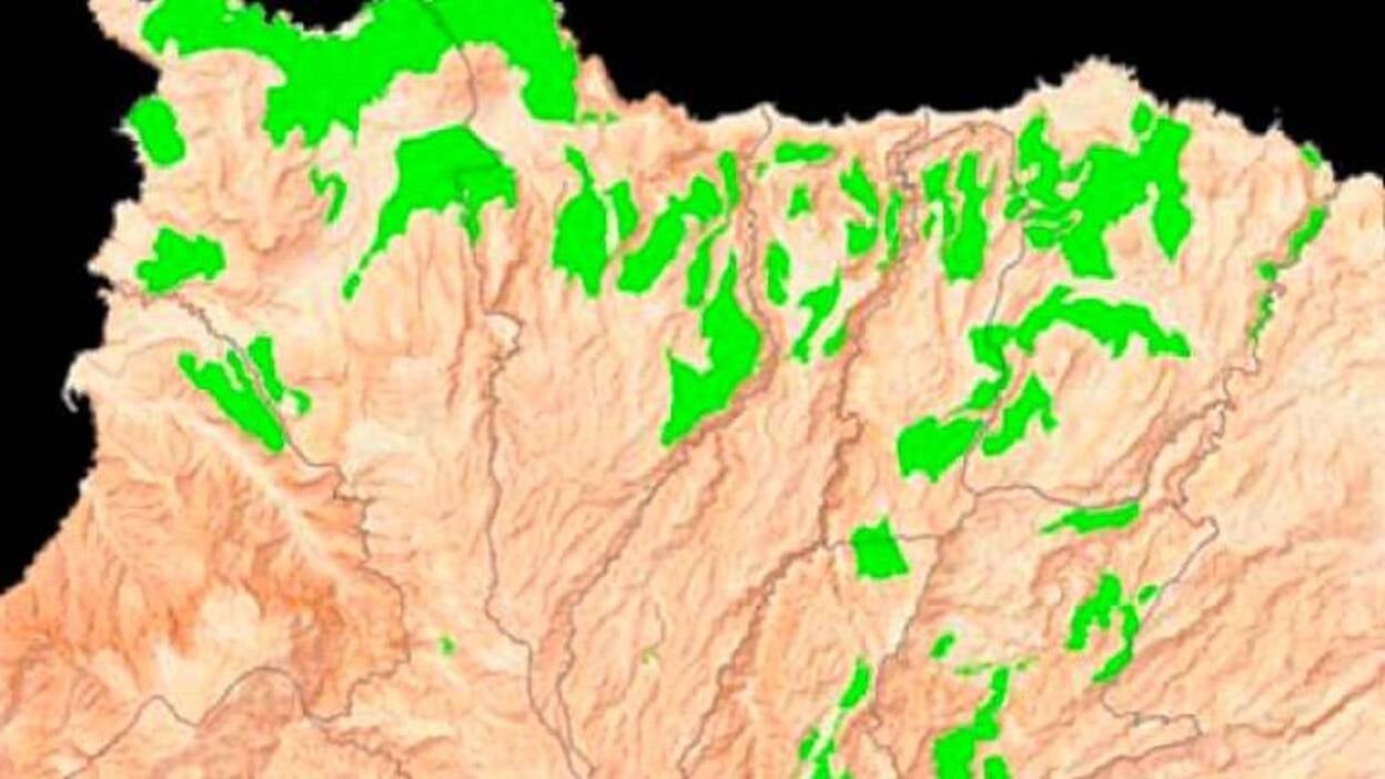 La biomasa, una opción del Norte