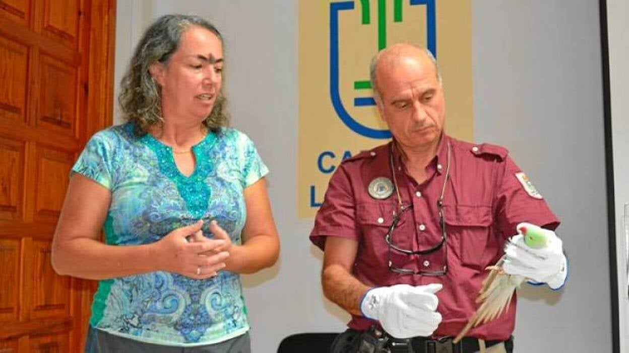 A la caza de la cotorra de Kramer