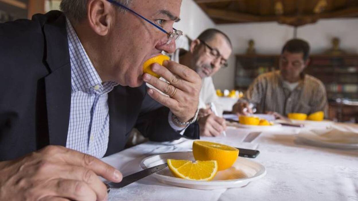 ¿Cuál es la mejor naranja?