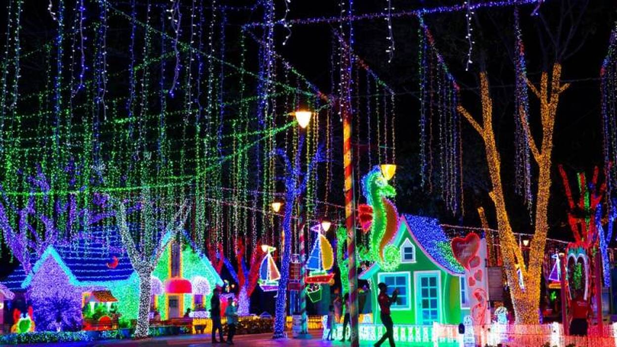 Un parque con mucho brillo