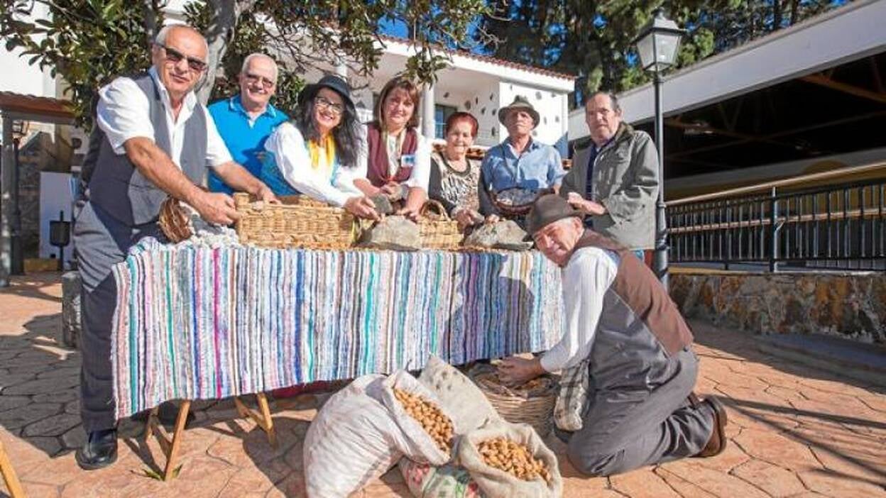 Las 4 paradas del almendrero