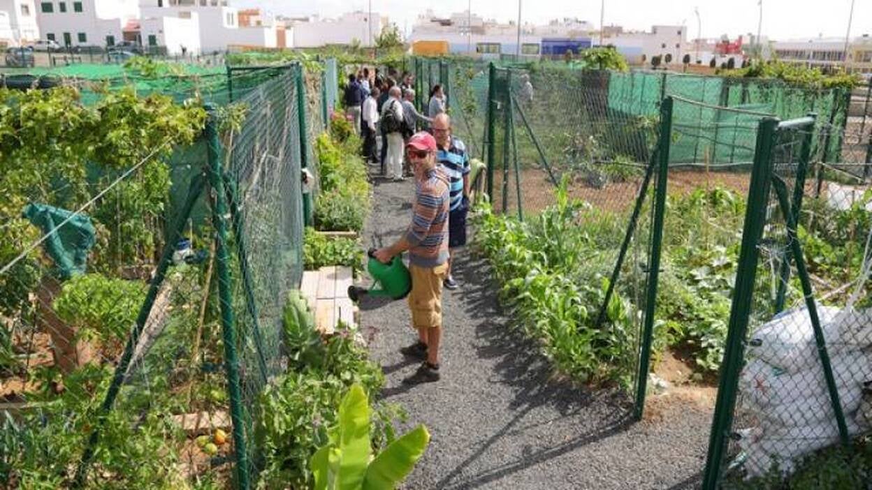 Jungla de verduras en plena zona urbana