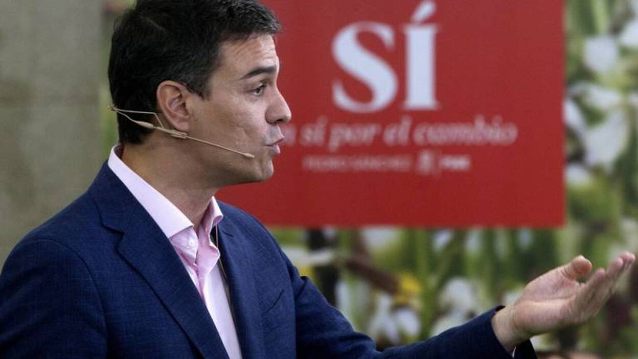 Sánchez volverá a ofrecer a C's y a Podemos un acuerdo de gobierno tras el 26J