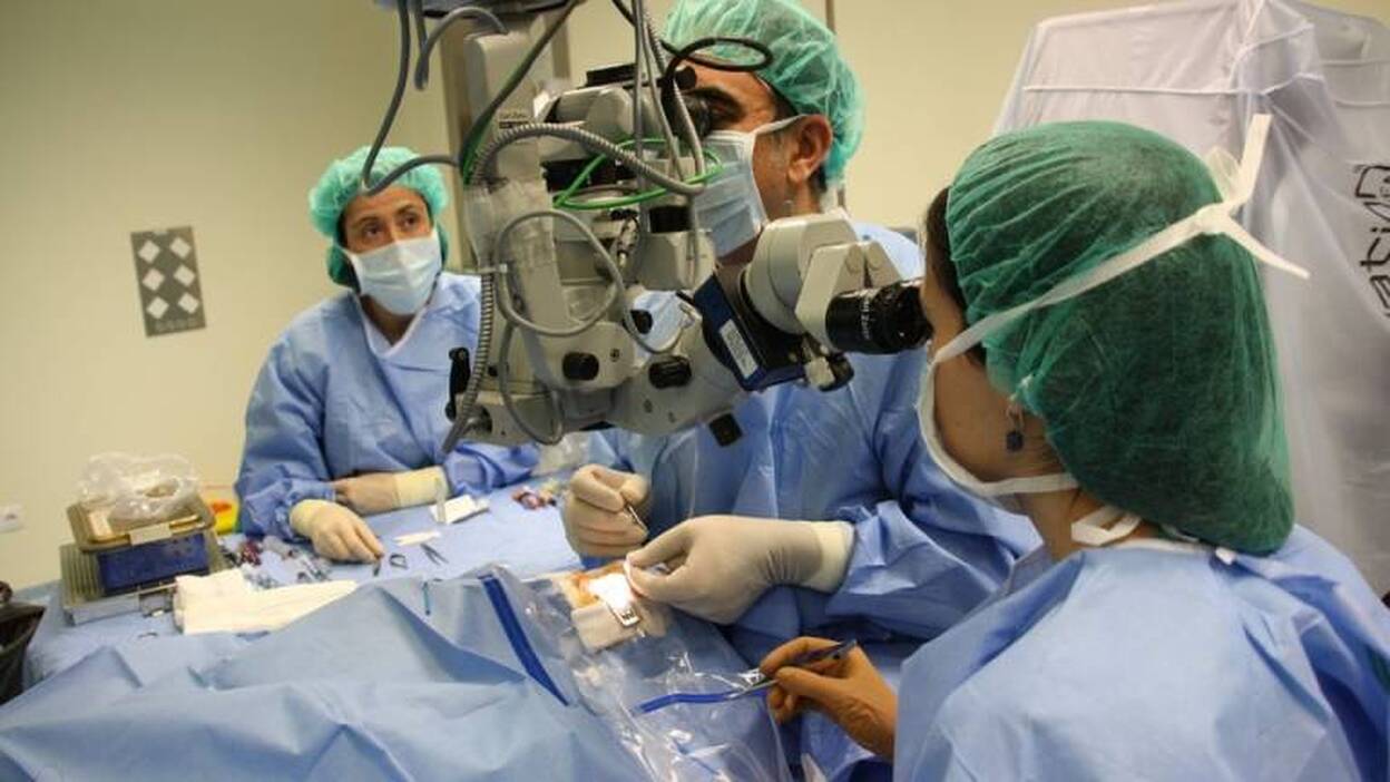 El número de médicos y enfermeros aumentó un 2,7 % en Canarias el año pasado