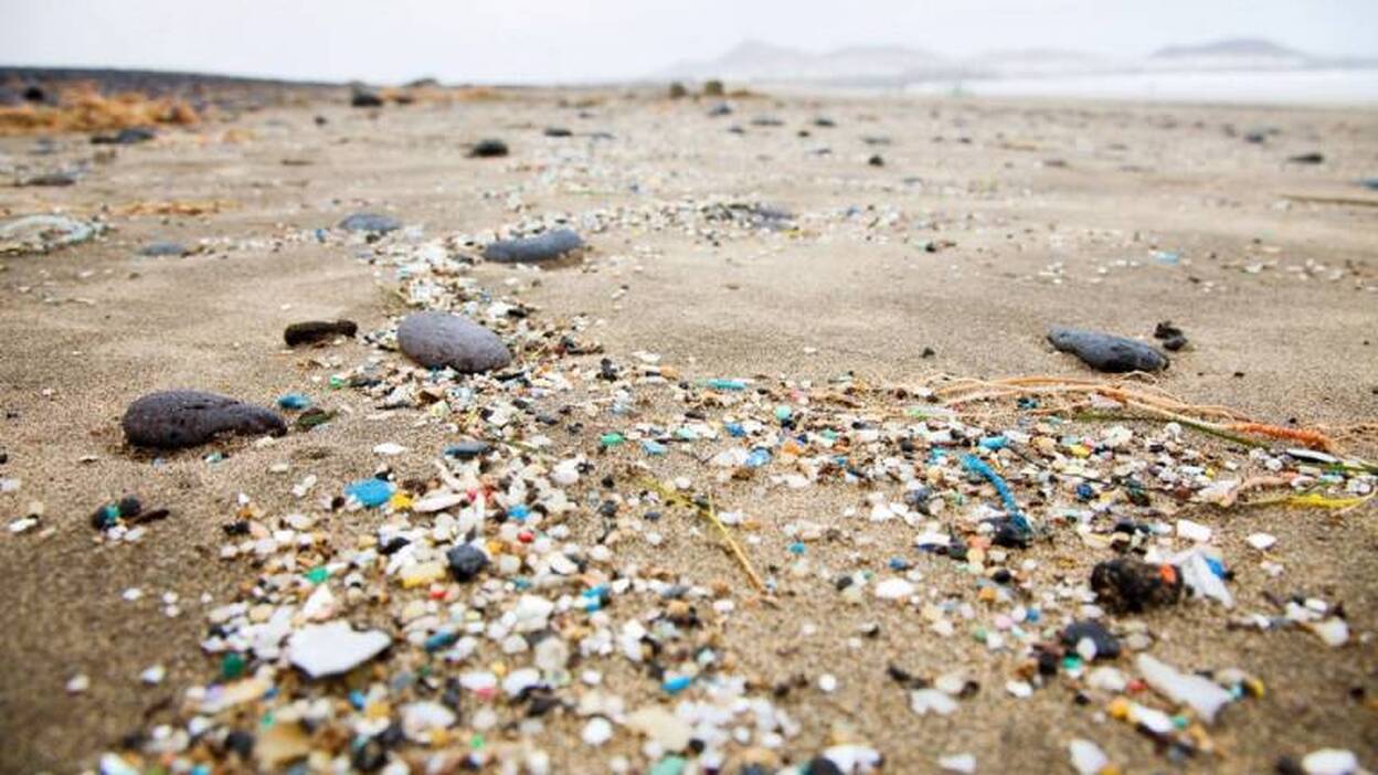 El mar reduce el plástico a trocitos que pueden entrar en la cadena alimentaria