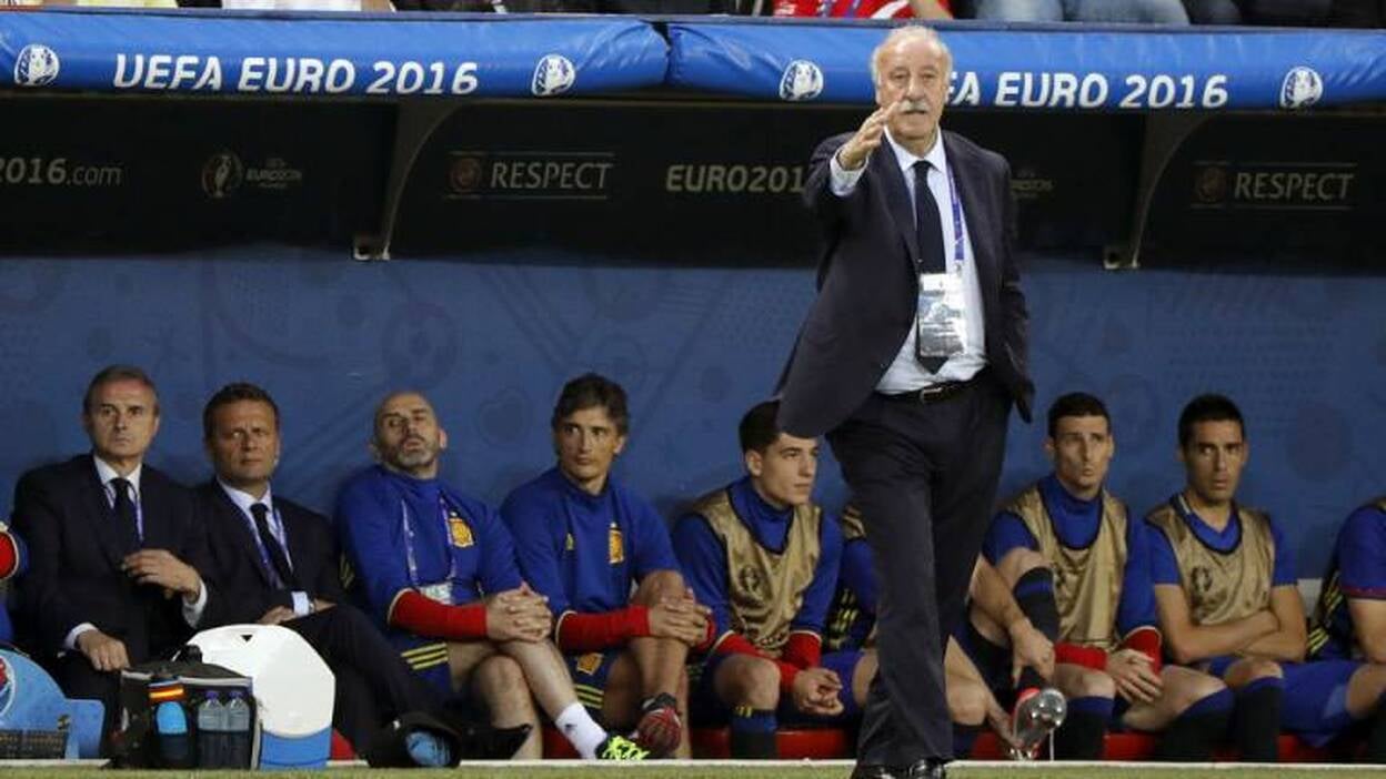 Del Bosque no continúa como seleccionador