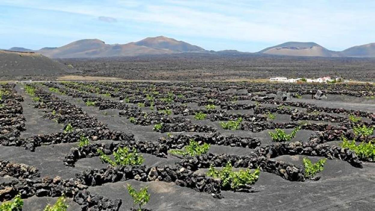 El Gobierno da vía libre a modificar el Plan de La Geria