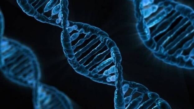 Un gen vinculado al cáncer, también esencial para las células sanas