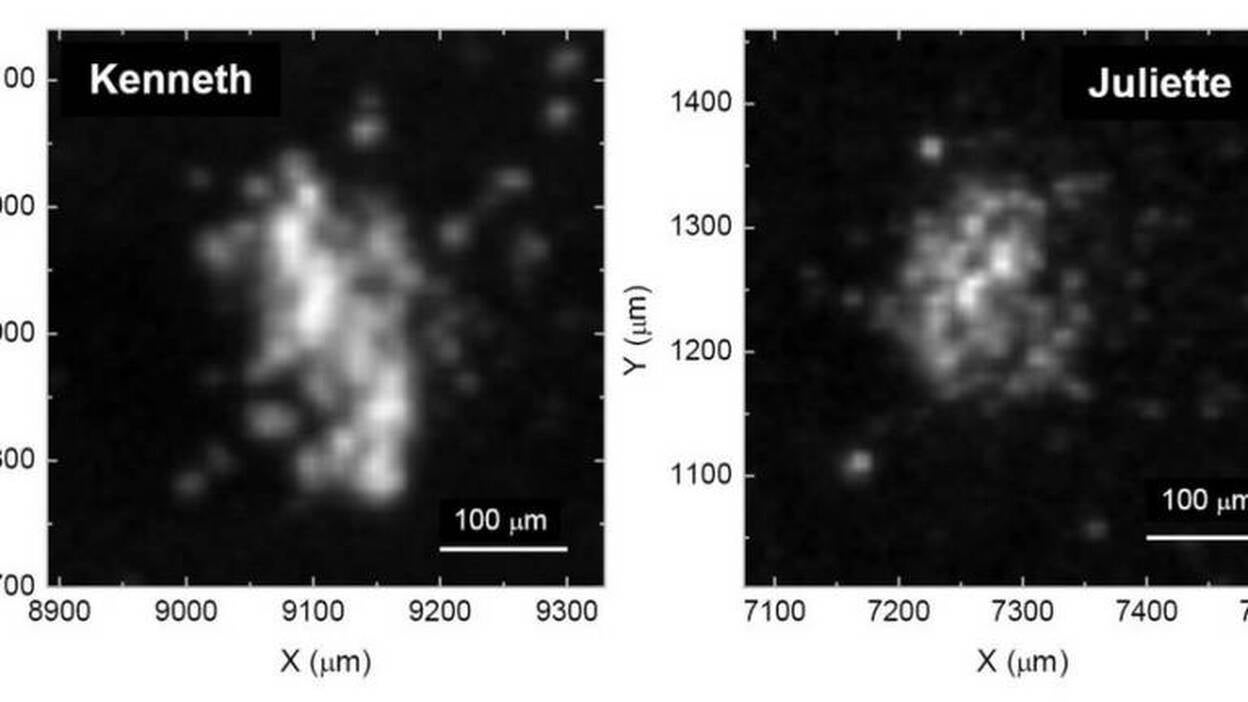 La nave Rosetta captura materia orgánica en polvo del cometa 67P