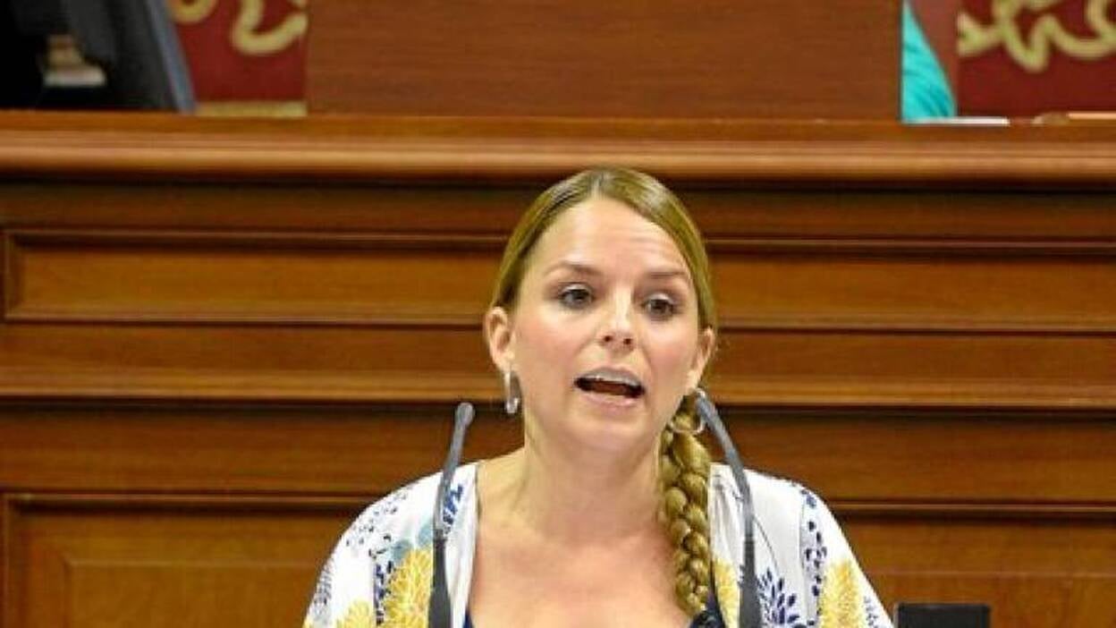 Luz verde a la ley turística, que va camino de la justicia