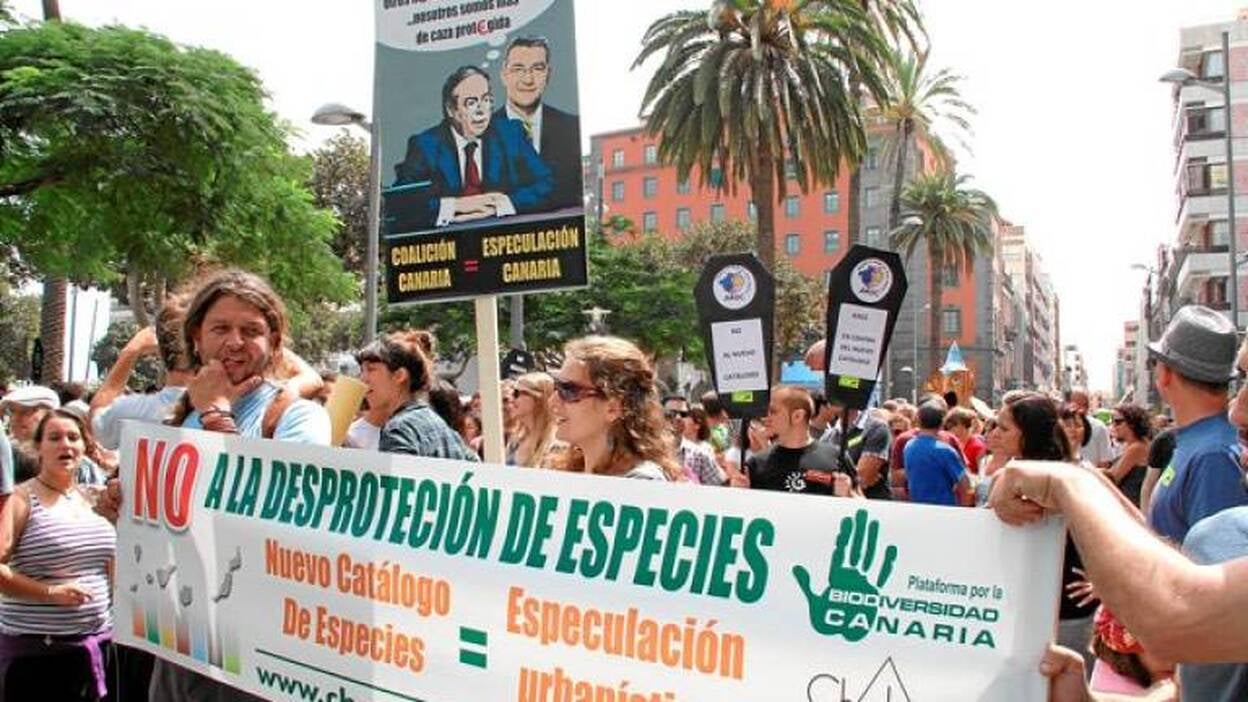 Una década para proteger la seba