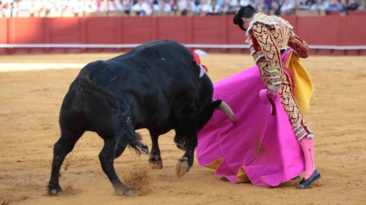 El Constitucional anula la prohibición de los toros en Cataluña