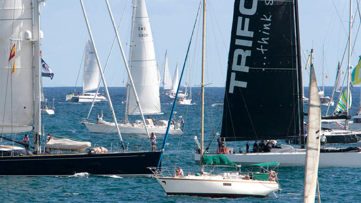 31ª regata ARC