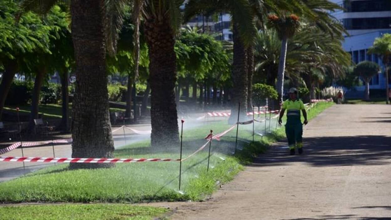 El parque Romano, a pleno rendimiento