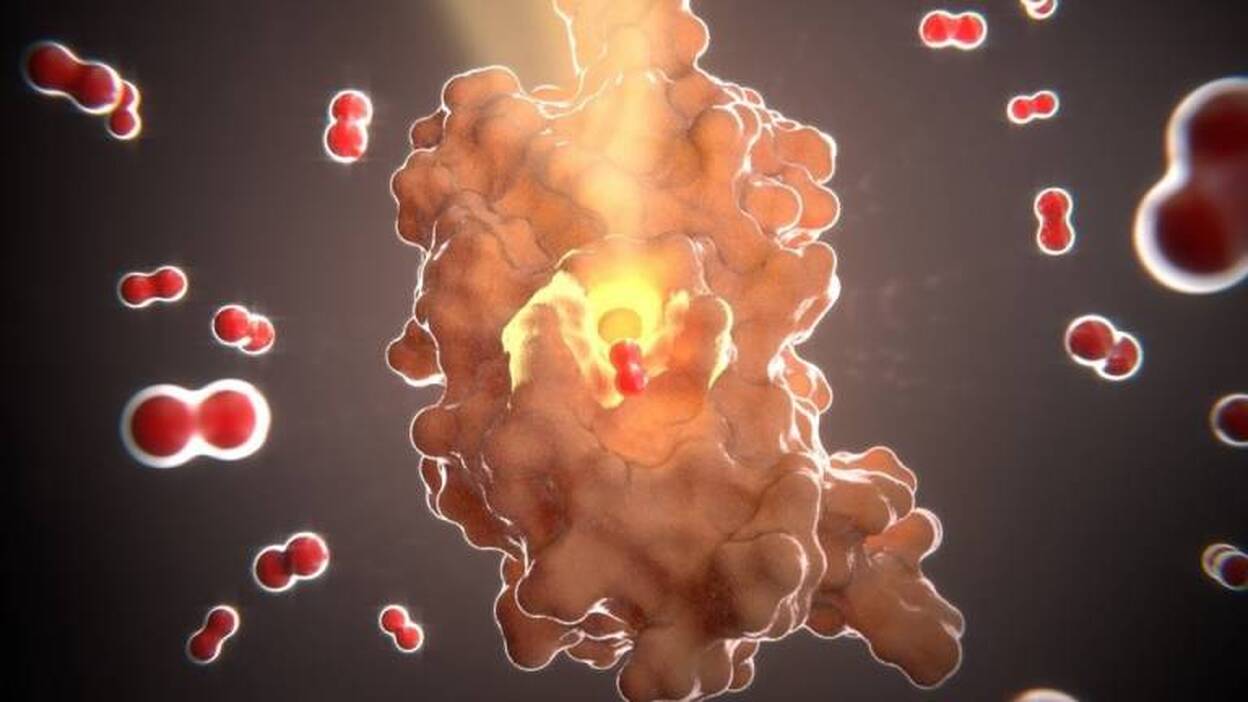 Descubren un nuevo mecanismo contra las bacterias resistentes a los antibióticos