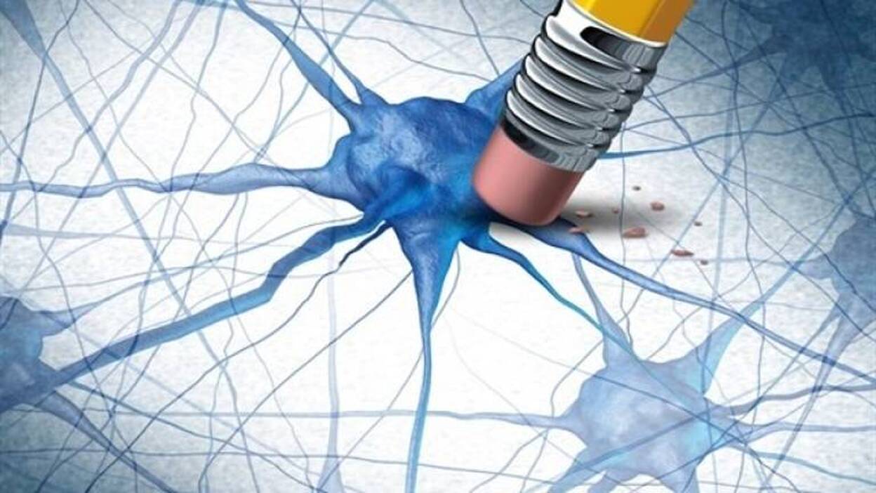 Nuevo avance en la lucha contra la enfermedad de Alzheimer